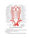 Nghiên cứu một số đặc điểm dịch tễ và yếu tố nguy cơ của các bệnh nhân TBMMN tại bệnh viện đa khoa tỉnh Long An giai đoạn 2008 2010