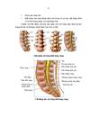 Nghiên cứu một số đặc điểm lâm sàng và hình ảnh học của hội chứng hẹp ống sống thắt lưng cùng