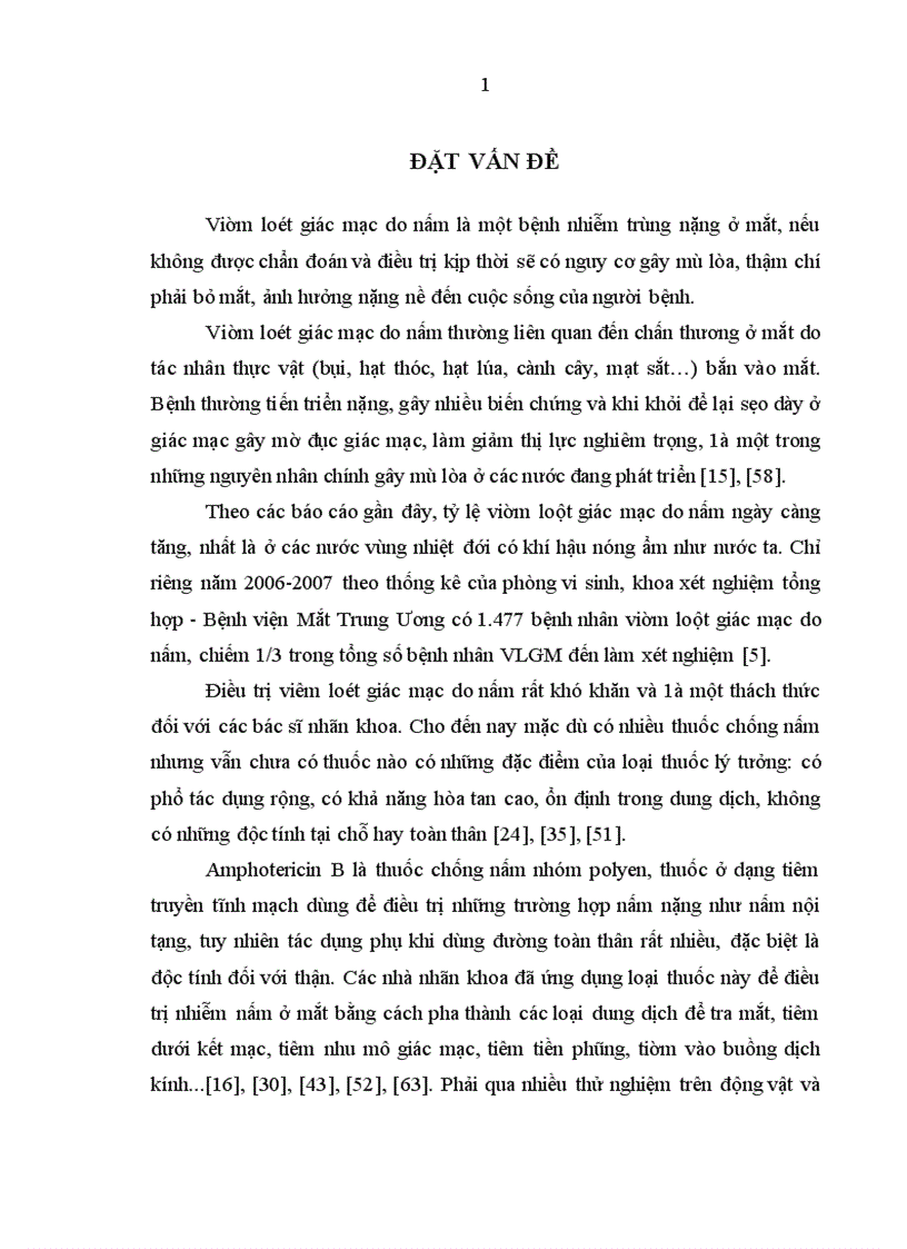 Nghiên cứu hiệu quả điều trị viêm loét giác mạc do nấm bằng phối hợp tiêm Amphoterecin B nhu mô giác mạc và Intraconazole toàn thân 1