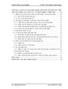 Giải pháp mở rộng thị trường tiêu thụ sản phẩm của Công ty Cổ phần Thương mại Sabeco Miền Bắc