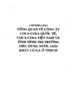 Một số giải pháp nhằm đẩy mạnh hoạt động tiêu dùng nước giải khát có ga tại nhà đối với sản phẩm của công ty CocaCola Việt Nam tại TP HXM