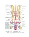 Đánh giá ảnh hưởng trên tuần hoàn của Oxytocin dùng trong mổ lấy thai với gây tê tủy sống