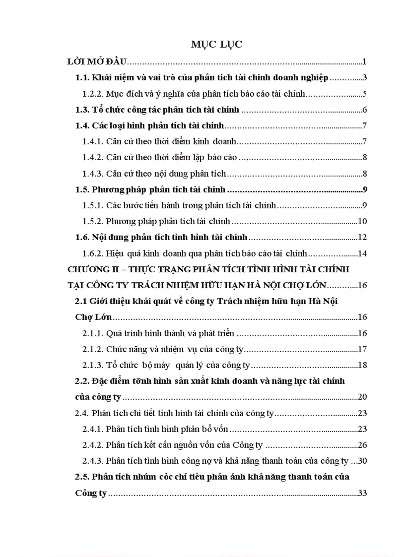 Phân tích tình hình tài chính tại Công ty Trách nhiệm hữu hạn Hà Nội Chợ Lớn Thực trạng và giải pháp
