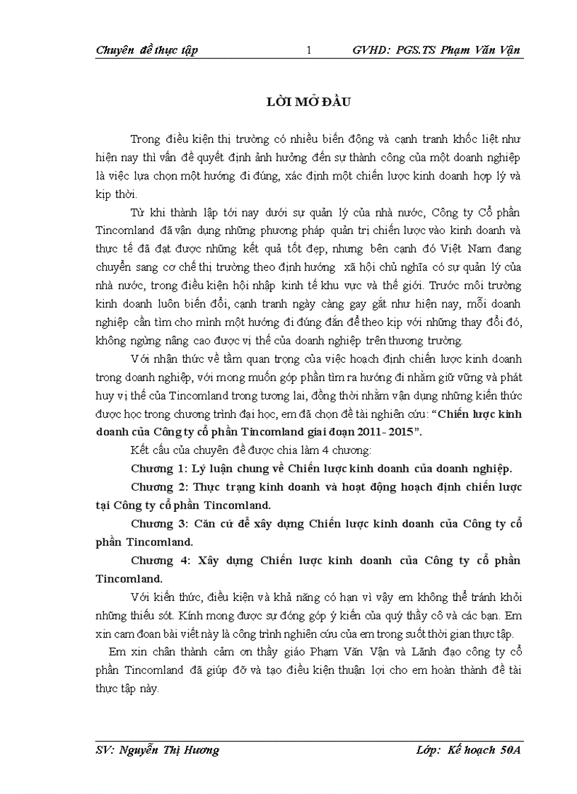 Chiến lược kinh doanh của Công ty cổ phần Tincomland giai đoạn 2011 2015 1