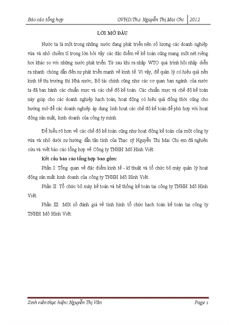 Tổ chức bộ máy kế toán và hệ thống kế toán tại công ty TNHH Mô Hình Việt 1