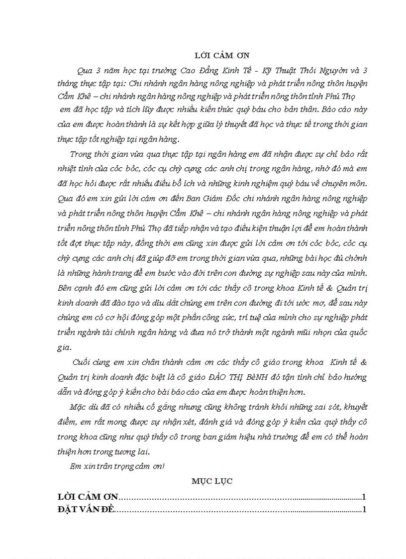 Thực trạng hoạt động tín dụng tại chi nhánh ngân hàng nông nghiệp và phát triển nông thôn huyện cẩm khê chi nhánh ngân hàng nông nghiệp và phát triển nông thôn tỉnh phú thọ