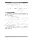 Một số giải pháp hạn chế ảnh hưởng của biến động tỷ giá tới hoạt động xuất nhập khẩu thiết bị viễn thông của Công ty Thương mại và Xuất nhập khẩu Viettel