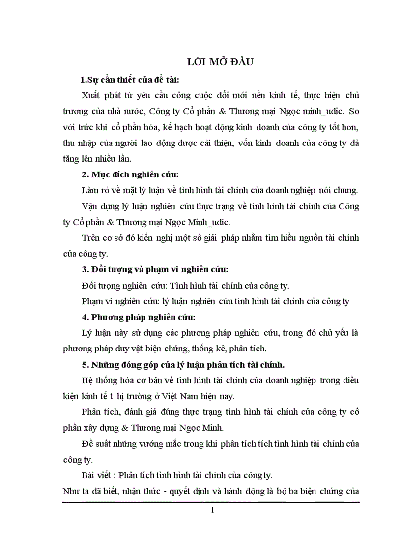 Phân tích tình hình tài chính của Công ty Cổ phần Xây dựng Thương mại Ngọc Minh udic 1