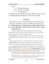 Hoàn thiện tổ chức công tác kế toán bán hàng và kết quả bán hàng tại chi nhánh công ty cổ phần Thành Đô Hà Nội