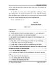 Tổ chức kế toán bán hàng và xác định kết quả bán hàng ở Chi nhánh Công nghiệp hóa chất mỏ Hà Nam