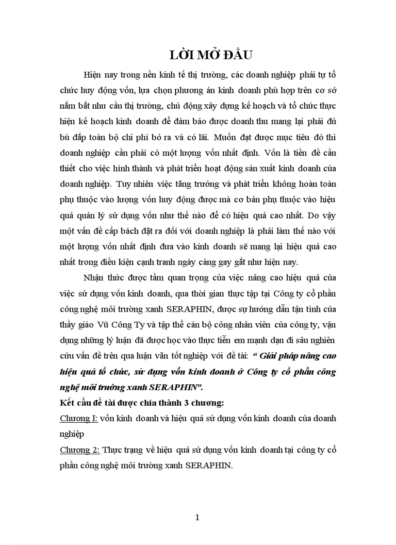 Giải pháp nâng cao hiệu quả tổ chức sử dụng vốn kinh doanh ở Công ty cổ phần công nghệ môi trường xanh SERAPHIN 1