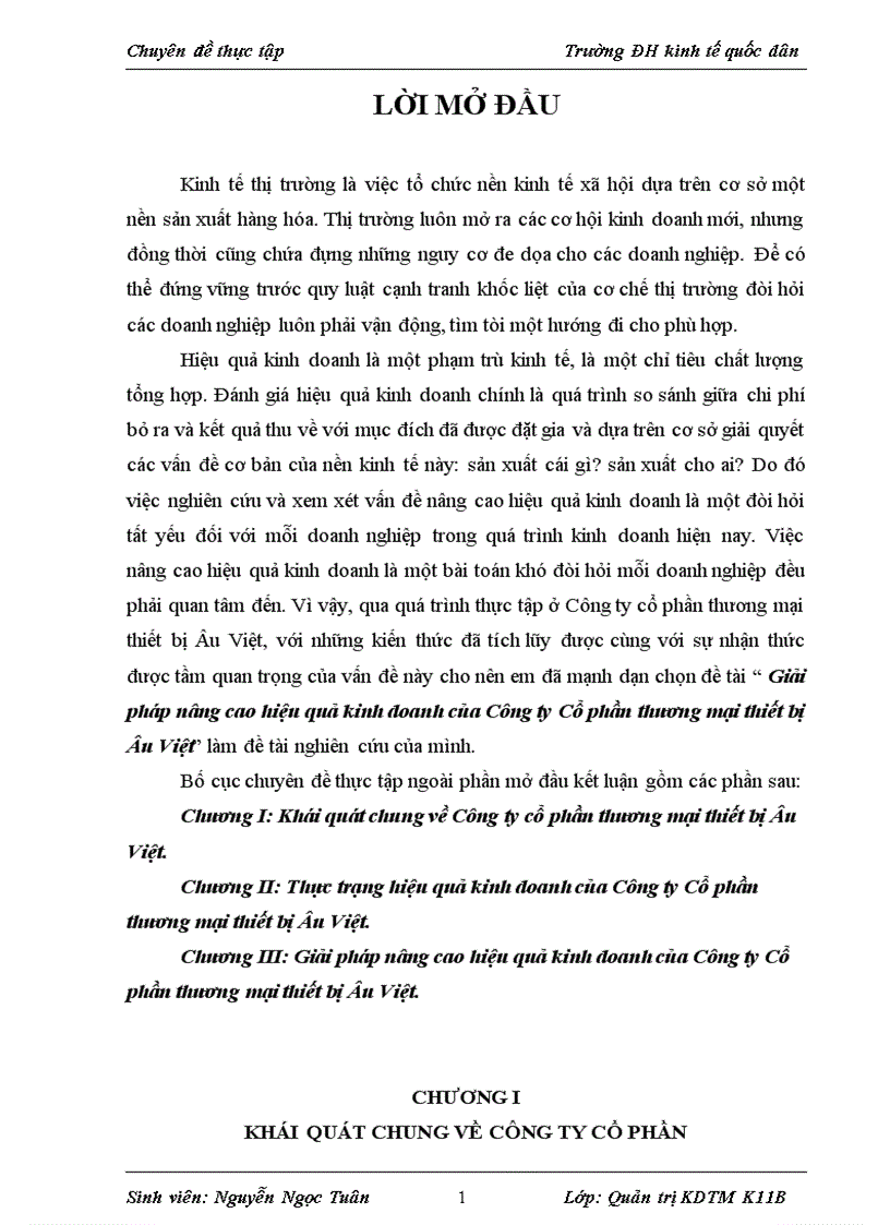 Giải pháp nâng cao hiệu quả kinh doanh của Công ty Cổ phần thương mại thiết bị Âu Việt 1