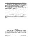 Vốn lưu động và các giải pháp tài chính nâng cao hiệu quả sử dụng vốn lưu động tại công ty cổ phần Điện lạnh công nghiệp và dân dụng Hà Nội