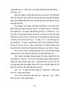Nghiên cứu liều lượng phân bón thích hợp cho giống ớt KN7 trên đất phù sa sông Hồng ở huyện Gia Lâm Hà Nội