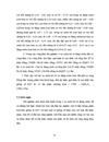 Nghiên cứu liều lượng phân bón thích hợp cho giống ớt KN7 trên đất phù sa sông Hồng ở huyện Gia Lâm Hà Nội