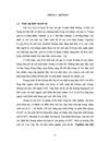 Nghiên cứu liều lượng phân bón thích hợp cho giống ớt KN7 trên đất phù sa sông Hồng ở huyện Gia Lâm Hà Nội