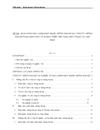 Đề tài hoạt động bảo lãnh phát hành chứng khoán tại công ty chứng khoán ngân hàng đầu tư phát triển việt nam thực trạng và giải pháp