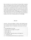 Phát triển thương mại sản phẩm bánh kẹo nhập khẩu trên thị trường miền bắc của chi nhánh công ty cổ phần phú trường quốc tế tại HÀ NỘI