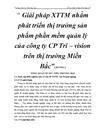 Giải pháp XTTM nhằm phát triển thị trường sản phẩm phần mềm quản lý của công ty CP Tri vision trên thị trường Miền Bắc 3