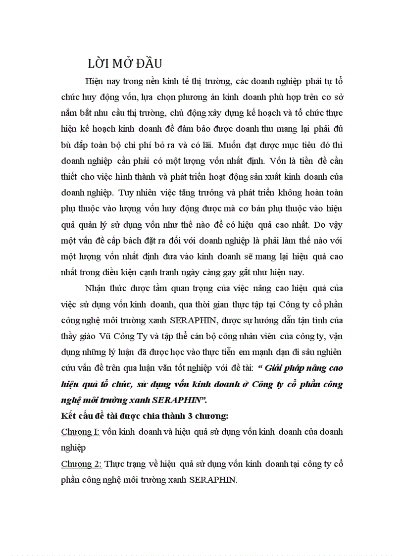 Giải pháp nâng cao hiệu quả tổ chức sử dụng vốn kinh doanh ở Công ty cổ phần công nghệ môi trường xanh SERAPHIN