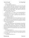 Giải pháp mở rộng hoạt động tài trợ xuất nhập khẩu theo phương thức thanh toán tín dụng chứng từ tại Ngân hàng Thương mại Cổ phần Công thương chi nhánh tây Hà Nội