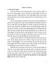 Báo cáo kế toán nguyên vật liệu tại Công ty Cổ phần Đầu tư phát triển và Xây dựng giao thông 208