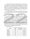 Phật học đã trở thành một trong những khoa học tương đối quan trọng trong khoa học xÃ hộ