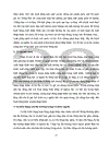 Những giải pháp chủ yếu nhằm hoàn thiện hoạt động nhập khẩu của chi nhánh công ty Thương Mại và Dịch vụ Tổng hợp Hà Nội - Tổng công ty Than Việt Nam .