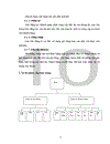 Website thương mại