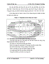 Hoàn thiện kế toán chi phí sản xuất và tính giá thành sản phẩm tại Công ty cổ phần kỹ thuật nền móng