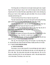 Nghiên cứu hệ thống thị trường tiêu thụ rau ở thành phố Thái Bình