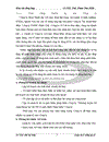 Hoạt động đầu tư và quản lý hoạt động đầu tư của công ty cp dịch vụ hạ tầng mạng nisco 12