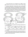 Duy trì và cải tiến hệ thống quản lý chất lượng theo tiêu chuẩn ISO- 9002 tại Công ty da giày Hà Nội