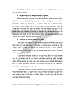 Phương hướng và biện pháp hạ giá thành vận tải cho Cảng Khuyến Lương thuộc xí nghiệp Vận tải biển pha sông