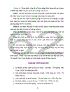 Hoàn thiên công tác kế toán nhập khẩu hàng hoá tại Công ty TNHH Tam Diện (Tritagon Co.,Ltd,)