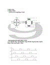 Điều khiển chuyển động rôbôt bằng động cơ bước