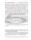Một số giải pháp nhằm tái cấu trúc công ty tnhh thái nam