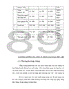 Một số giải pháp nhằm thúc đẩy xuất khẩumặt hàng nông sản tại công ty xuất nhập khẩu với Lào (VILEXIM)