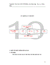 Những yếu tố cá nhân ảnh hưởng đến mức thu nhập của hộ gia đình xã Tân Lập hiện nay