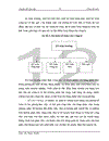 Kế toán tiêu thụ hàng hoá và xác định kết quả kinh doanh tại Công ty cổ phần giải pháp công nghệ và xúc tiến đầu tư Việt Nam