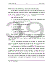 Kế toán tiêu thụ hàng hoá và xác định kết quả kinh doanh tại Công ty cổ phần giải pháp công nghệ và xúc tiến đầu tư Việt Nam