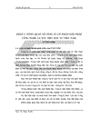 Kế toán tiêu thụ hàng hoá và xác định kết quả kinh doanh tại Công ty cổ phần giải pháp công nghệ và xúc tiến đầu tư Việt Nam