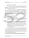 Kế toán tiêu thụ hàng hoá và xác định kết quả kinh doanh tại Công ty cổ phần giải pháp công nghệ và xúc tiến đầu tư Việt Nam