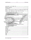 Kế toán tiêu thụ hàng hoá và xác định kết quả kinh doanh tại Công ty cổ phần giải pháp công nghệ và xúc tiến đầu tư Việt Nam