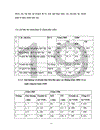 Xây dựng chiến lược marketing cho nhà máy nhôm Đông Anh giai đoạn 2008-2010