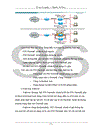 Giới Thiệu Về An Ninh Mạng (Network Security) và Firewall