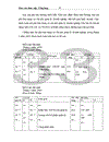 Thực tập Tổng hợp 1 ------------------ Tổng hợp