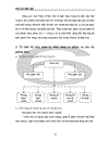 Công ty TM Ngọc Lâm