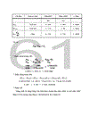 Phân tích thống kê hiệu quả sản xuất kinh doanh của công ty cổ phần 22 giai đoạn 2005-2008