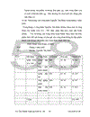 Tổ chức công tác kế toán lao động tiền lương và các khoản trích theo lương tại Công ty May 40